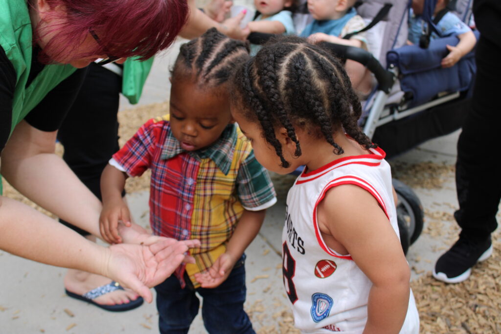 two children looking at ladybugs